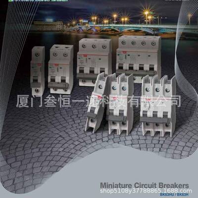 BK63HU 3P C6A C63A C50A C40A C4A C2A 10kA 480Y/277VAC UL489