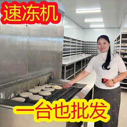 商用IQF风冷速冻设备 黑加仑处理流水线 加仑果速冻机器厂家供