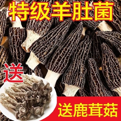 云南野生茵特级羊肚菌干货500g新货菌菇新鲜精品酒店煲汤专用