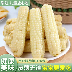 云南西双版纳拇指玉米宝宝辅食软糯香糯小手指婴儿早餐无添加真空