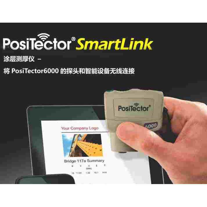 美国DeFelsko positector smartlink FNS涂层测厚仪 两用0-1500um