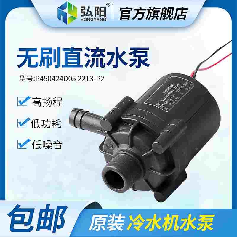 无刷直流水泵DC24V无刷电机30W小水泵P450424D05冷水机专用水泵