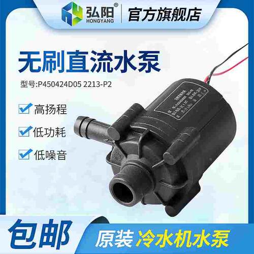 无刷直流水泵DC24V无刷电机30W小水泵P450424D05冷水机专用水泵