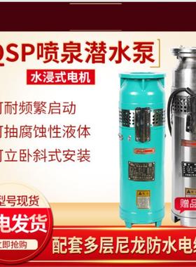 QSP喷泉专用泵变频音乐水浸式喷泉潜水泵QSPF不锈钢304喷泉景观泵