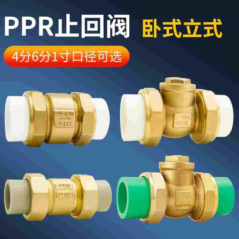 PPR双活接止回阀热熔管卧立式水管单向阀20管水表单向逆止阀25PE