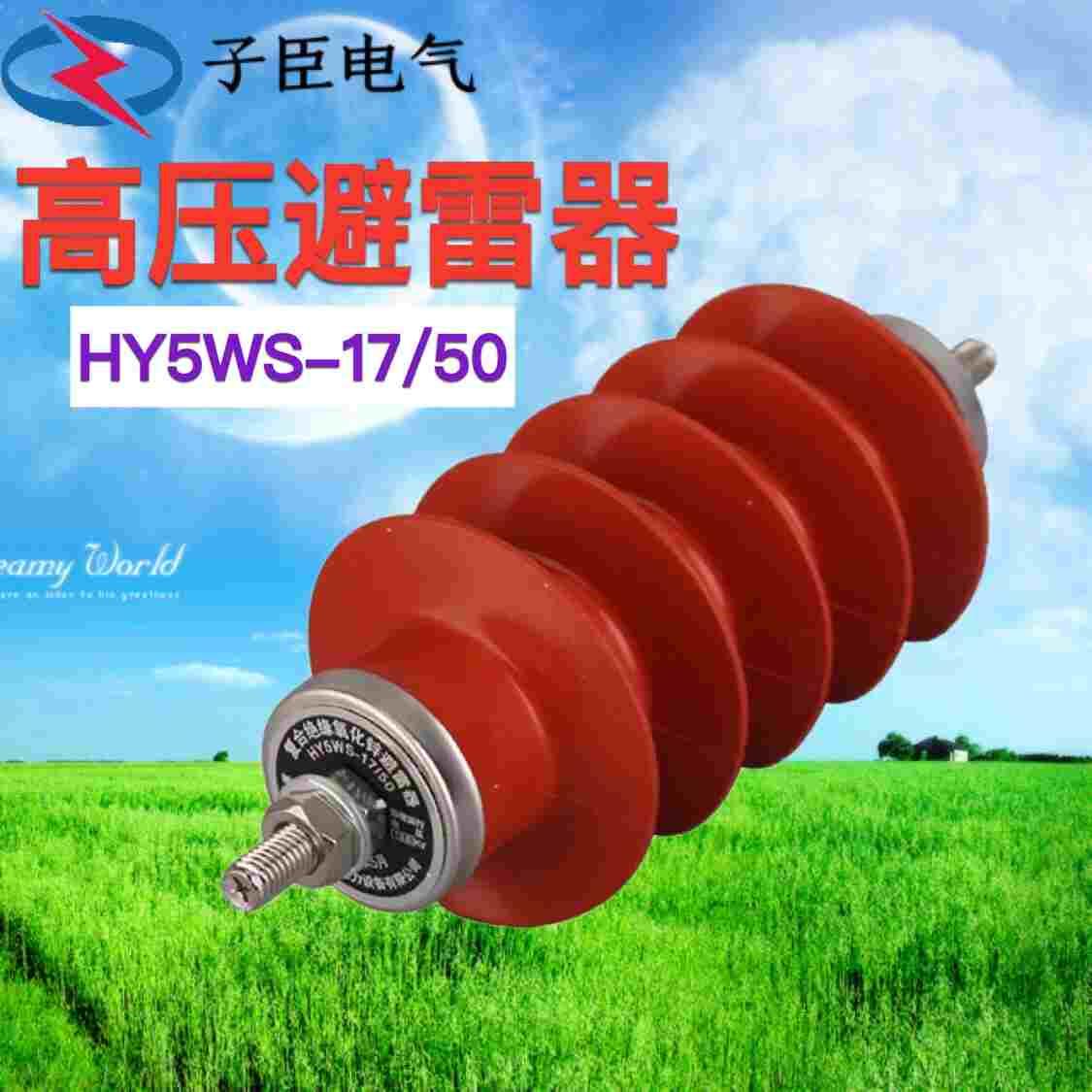 10KV氧化锌避雷器HY5WS-17/50复合硅橡胶高压配电型12KV一体成型