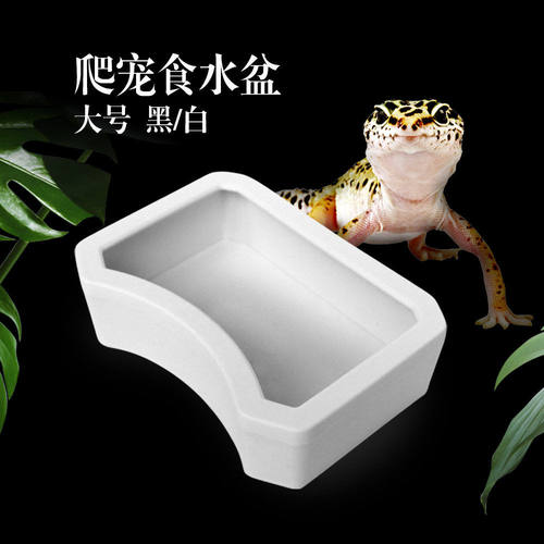 诺摩塑料新品NW-25小型爬宠守宫玩具蛇角蛙食水盆爬箱造景喂食盆