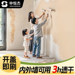 拉车套罩 反光杯内墙涂料乳胶漆室内清新净味防霉环保水性墙面漆