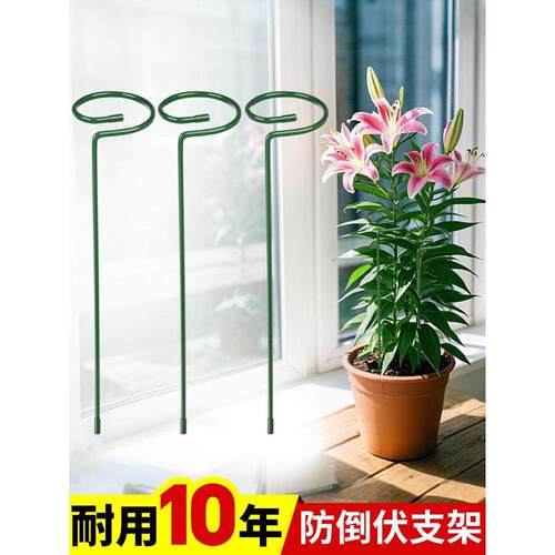 植物防倒藤伏支架铁艺绣球吊兰支撑杆园艺固定架爬花卉朱顶红花架