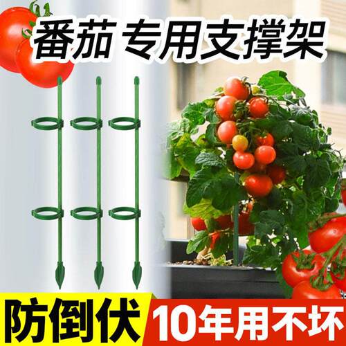 西红柿番茄椒固定杆爬藤吊兰园艺花架花支撑架植辣物防倒伏支撑杆