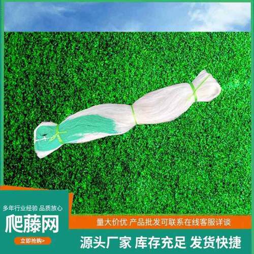 尼龙网蔬爬藤网植物网山药网豆角网黄瓜网菜瓜果种植百香果吊瓜网