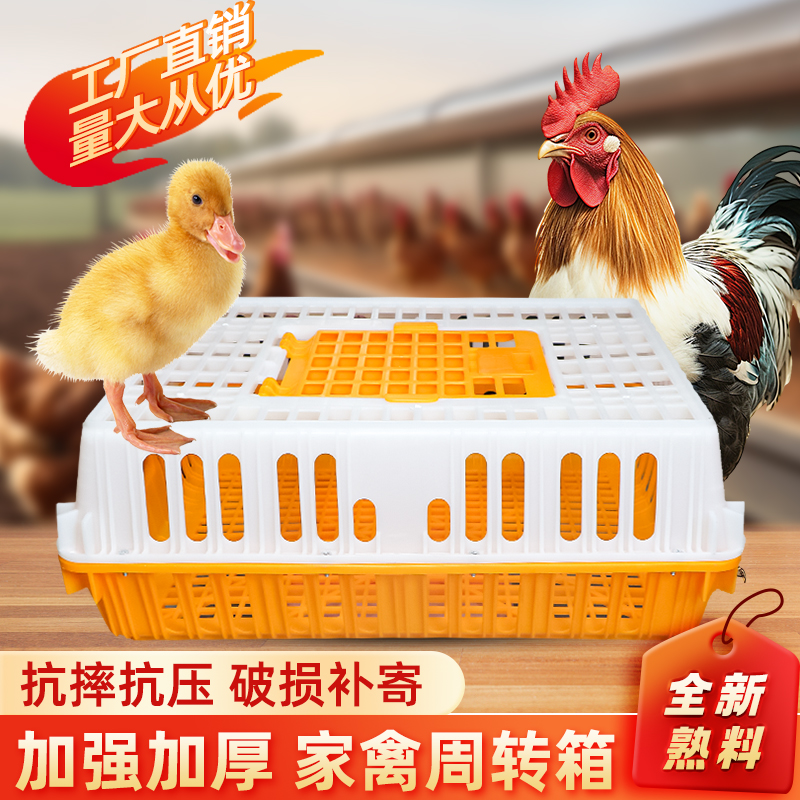 塑料家禽周转箱筐鸡笼运输笼