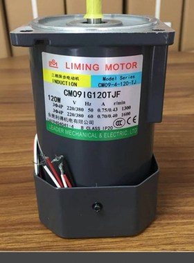 利明CM09IG120TJF/CM09-4-120-TJ东莞利得三相异步电机马达LIMING