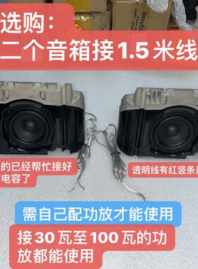 发烧丹麦B&O二分频发烧HiFi音箱音响高音中音低音喇叭中置环绕