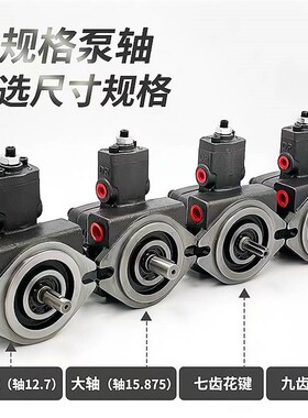 新款VP-20-FA3液压油泵 台湾SHENYU变量叶片泵VP-20R VP-30 40泵