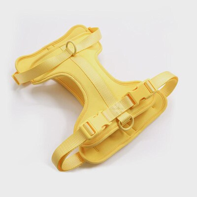 爆款爆品WildOne宠物狗狗胸y背带套装PVC项圈牵引绳中小型夏季透