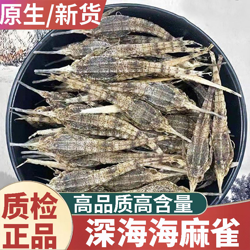 正品天然海麻雀新货中药材500g正宗新鲜深海干货可搭海龙煲汤泡酒