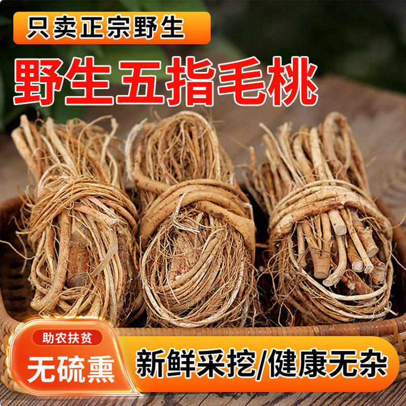 五指毛桃根野生煲汤鸡材料中药材干货细根整捆500g克广西广东
