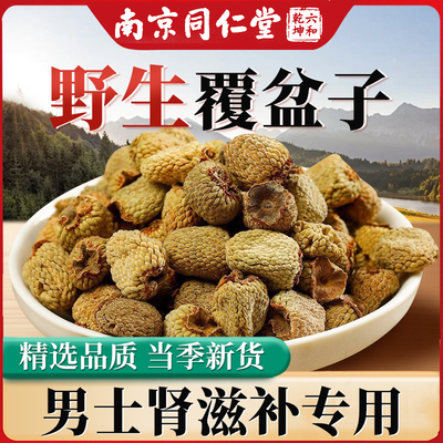 南京同仁堂浙江药食同源罐装