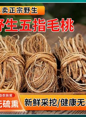 五指毛桃根野生煲汤鸡材料中药材干货细根整捆500g克广西广东