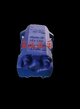 双联齿轮泵 P124B1n82XDZA10-54PBZA02-1 液压柱塞泵 质保