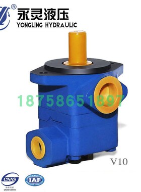 YLC永灵叶片泵fV10-1P1P 2P 3P 4P 5P 6P 7P-1A-R 1B/1C/1D-R L 2