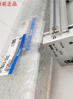 磁藕式无杆气缸CY1SG25-450Z/500/600/D700/800/900/1000Z/BZ/BSZ