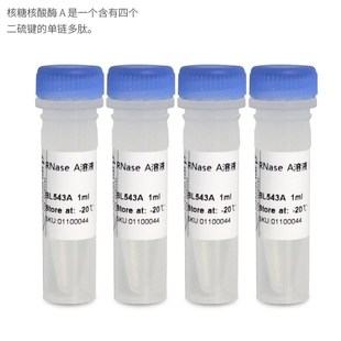 免邮含票 RNase A溶液 核糖核酸酶A 10mgJ/ml 科研试剂 BL543A