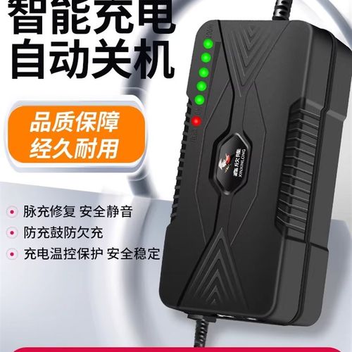 智能型电动车电瓶充电器48V12AH60V20AH72伏3N0ah40A50A小公插通