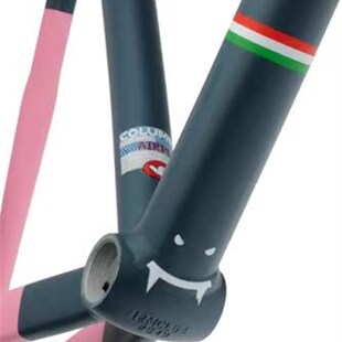 CINELLIA 2014 特价 FIXED 车架组 GEAR 灰粉 @BIKE Vigorelli