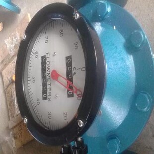 LC11椭圆齿轮流量计LL腰轮流量表LS计量表30P4不锈钢油表316耐德