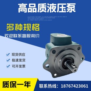 DVSF 油泵DVMB 20J 叶片泵DV系列叶片泵