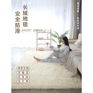 卧室高级新款 房间客厅茶几长毛轻奢 沙发地垫秋冬冬季 2024地毯绒季