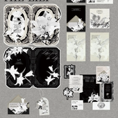 贴纸包 卡背 「百合信函」｜独家｜现货｜哑膜异型折页 卡头