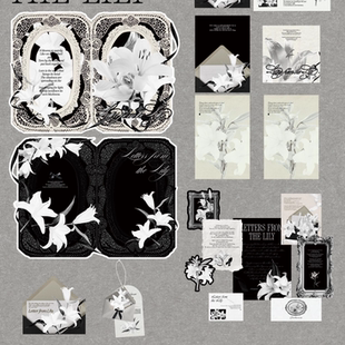 「百合信函」｜独家｜现货｜哑膜异型折页/卡头/卡背/贴纸包