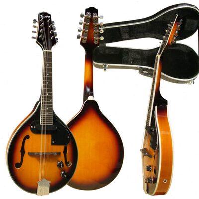 声豪华+琴mot硬盒乐器电曼陀铃西洋【附T全单乐器iy】ABS级h民族