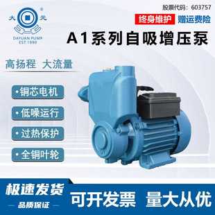 自吸泵家用管道自来水增压泵小型抽水泵220v抽水机大功率 大元