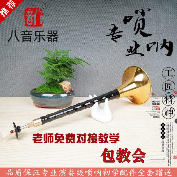 唢呐乐器檀芯调黑全套八D吹点喇叭服务乌木降B音子专业初学者民间
