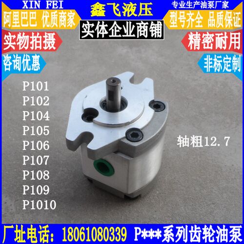 P101/P102/P104/P105/P106/P107/P108/P109 RP01GT齿轮油泵12.7轴