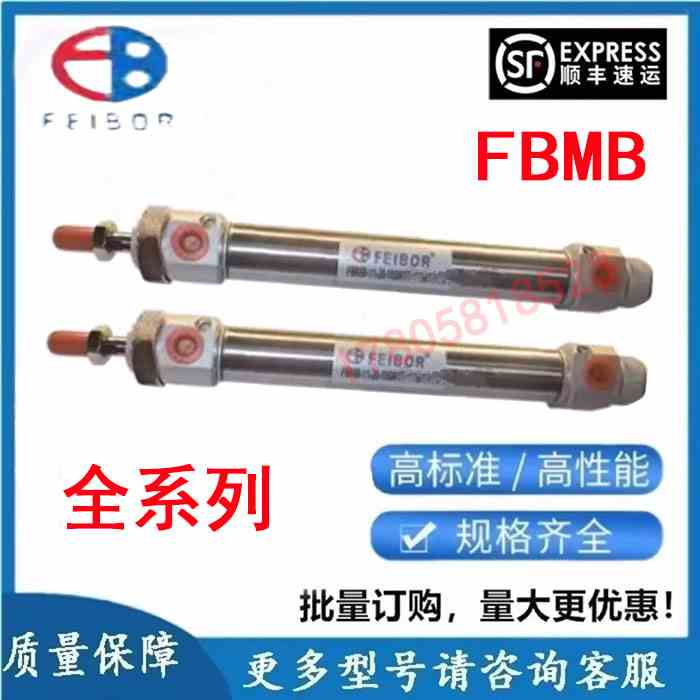 FEIBOR气缸FBMB-11-13-15-20-25-150-175-200-225-250-300-A-N/E