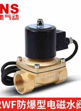 SNS神驰气动2WF025-08 040-10 160-15 200-20防爆二口二位电磁阀