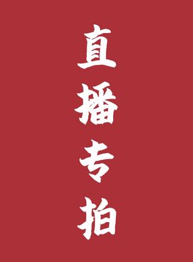 【1号】纯银9999纯手工 足银煮茶壶泡茶壶 茶配件