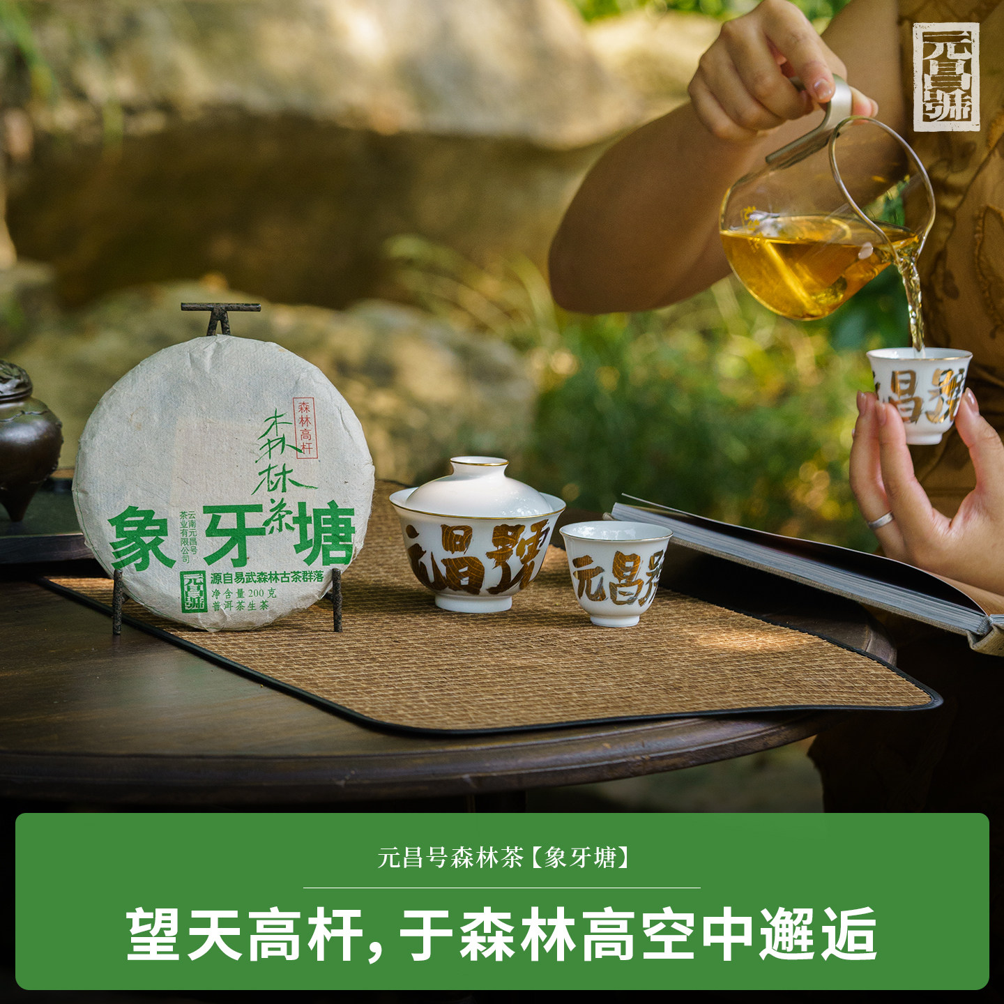 福元昌茶厂象牙塘古树生茶春茶图片