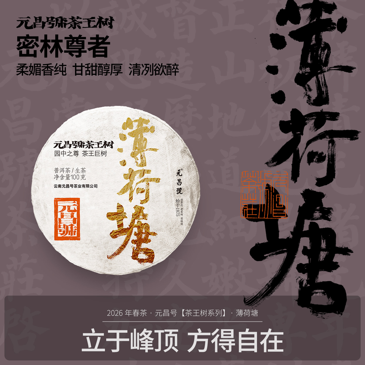 【2026年茶王树】元昌号薄荷塘一类高杆古树纯料普洱茶100g生茶
