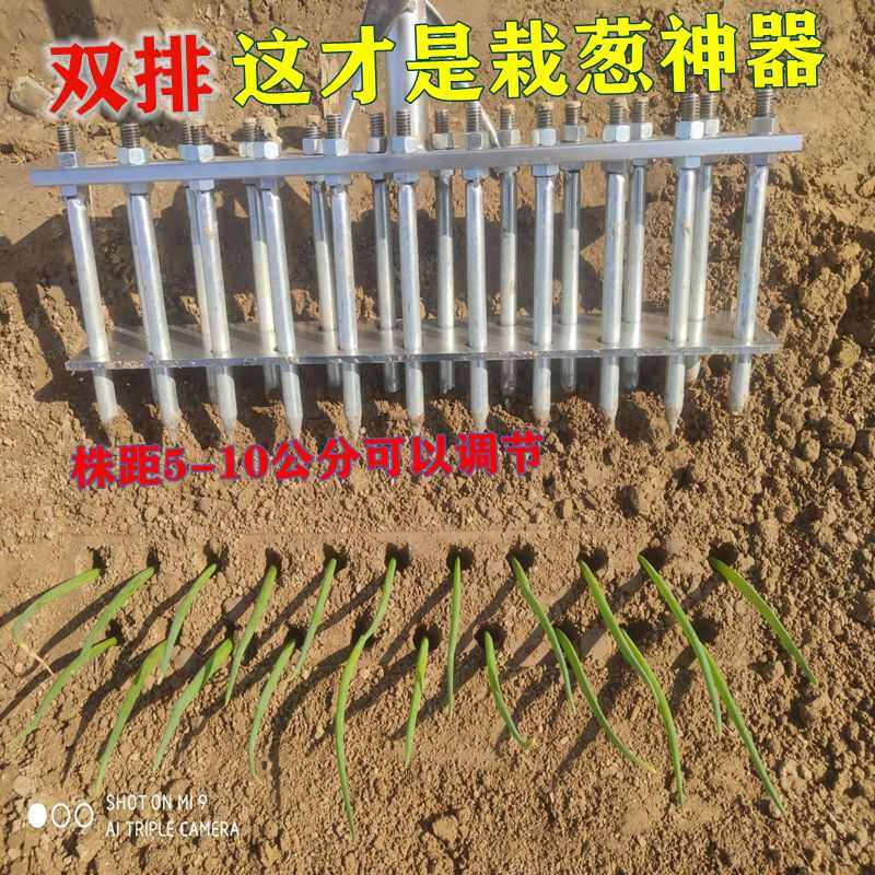 双排栽葱种植神器葱叉打眼器农用种葱自动压土打孔器种葱神器