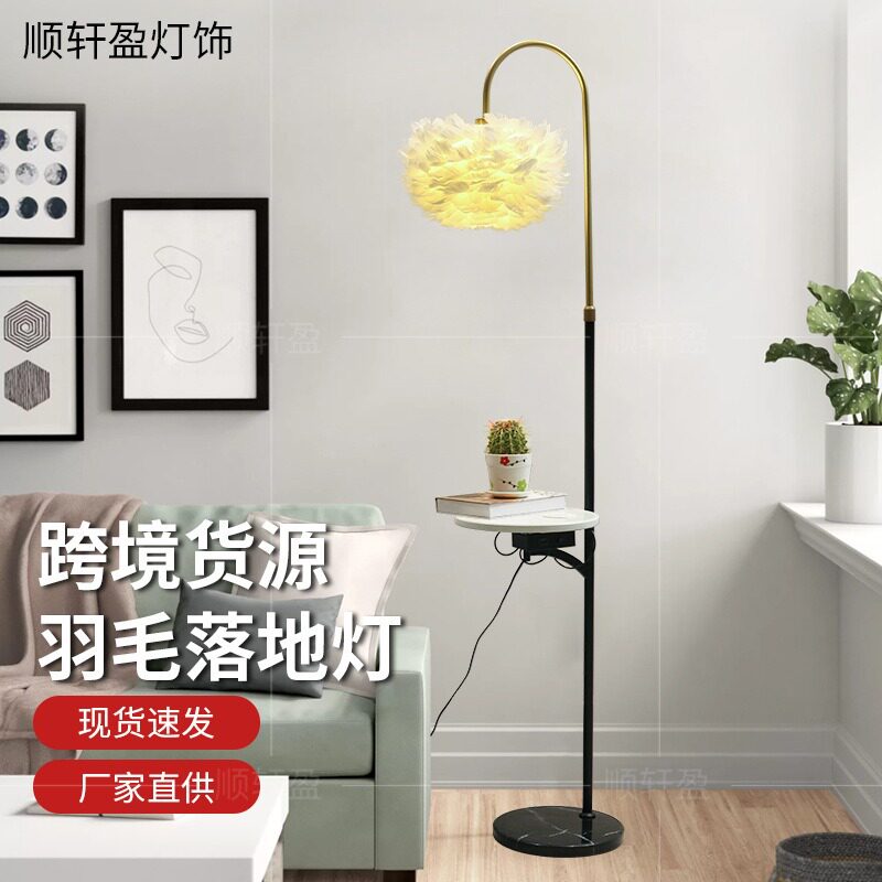 落地灯ins风羽毛卧室公主房北欧客厅创意立式台灯网红主播补光灯