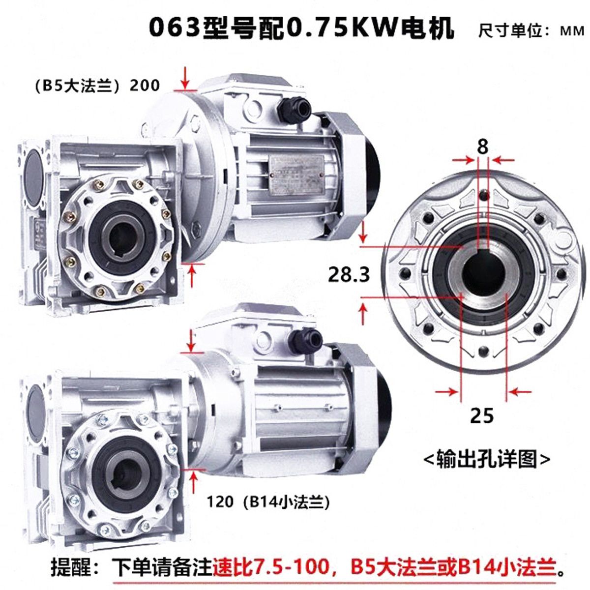 RV蜗杆RV减速机小型立式变速