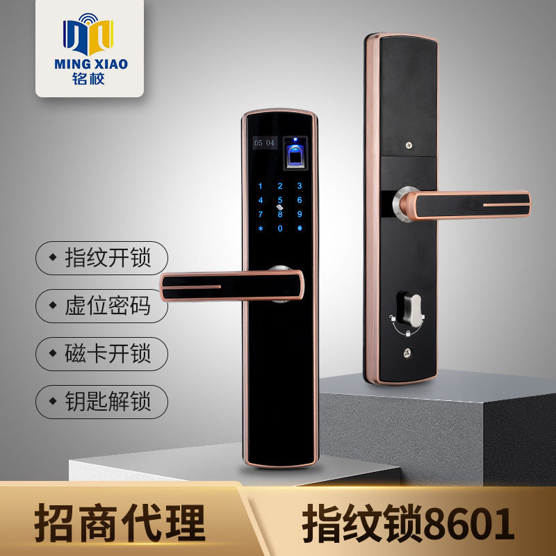 全自动指纹锁家用防盗门木门磁卡监控密码电子门锁智能锁指纹解锁