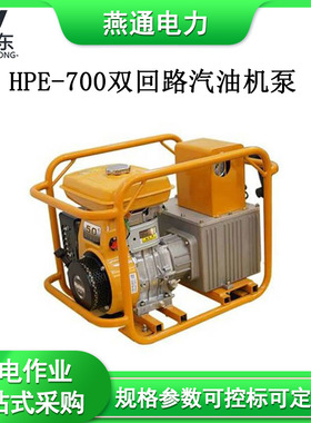 HPE-700双回路汽油机泵遥控四冲程高压泵小型高速汽油泵