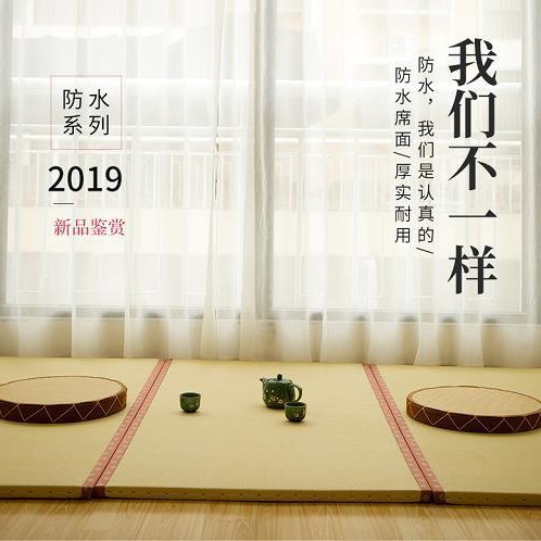 双色防水榻榻米垫子塌塌米炕垫床垫踏踏米椰棕垫飘窗垫可收纳